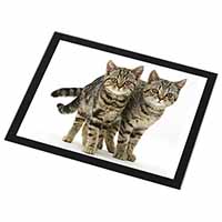 Brown Tabby Cats Black Rim High Quality Glass Placemat - Advanta Group®