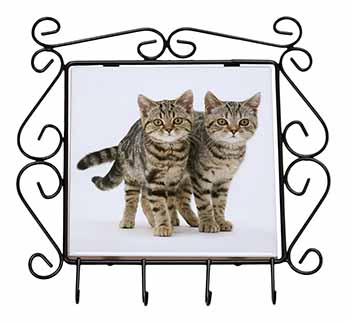 Brown Tabby Cats Wrought Iron Key Holder Hooks