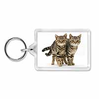 Brown Tabby Cats Photo Keyring printed full colour