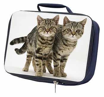 Brown Tabby Cats Navy Insulated School Lunch Box/Picnic Bag
