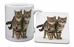 Brown Tabby Cats Mug and Coaster Set