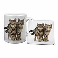 Brown Tabby Cats Mug and Coaster Set