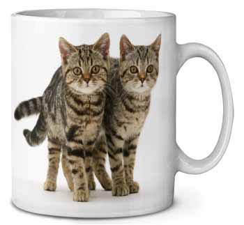 Brown Tabby Cats Ceramic 10oz Coffee Mug/Tea Cup
