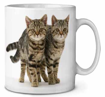 Brown Tabby Cats Ceramic Coffee Mug/Tea Cup