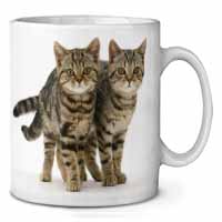 Brown Tabby Cats Ceramic 10oz Coffee Mug/Tea Cup Printed Full Colour - Advanta G