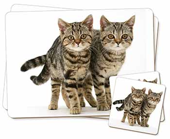 Brown Tabby Cats Twin 2x Placemats and 2x Coasters Set in Gift Box