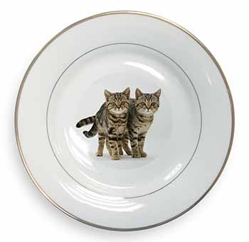 Brown Tabby Cats Gold Rim Plate Printed Full Colour in Gift Box