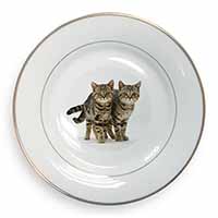 Brown Tabby Cats Gold Rim Plate Printed Full Colour in Gift Box