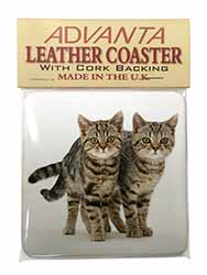 Brown Tabby Cats Single Leather Photo Coaster