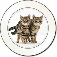 Brown Tabby Cats Car or Van Permit Holder/Tax Disc Holder