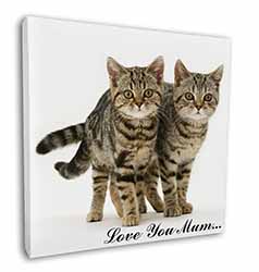 Brown Tabby Cats 