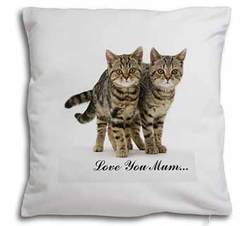 Brown Tabby Cats 