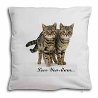 Brown Tabby Cats 