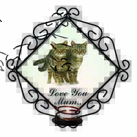 Brown Tabby Cats 
