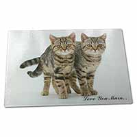 Large Glass Cutting Chopping Board Brown Tabby Cats 