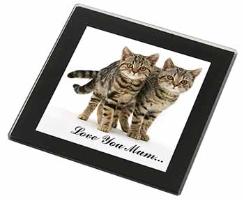 Brown Tabby Cats 