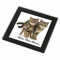 Brown Tabby Cats 