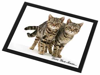 Brown Tabby Cats 