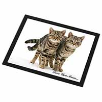 Brown Tabby Cats 