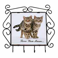 Brown Tabby Cats 