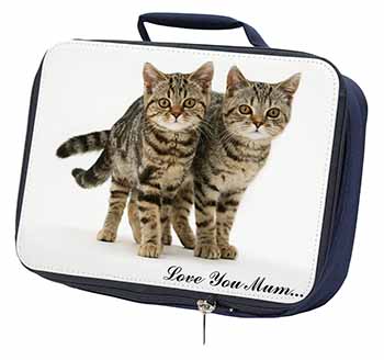 Brown Tabby Cats 