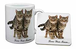 Brown Tabby Cats 