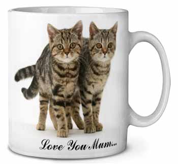 Brown Tabby Cats 