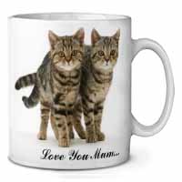 Brown Tabby Cats 