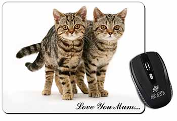 Brown Tabby Cats 