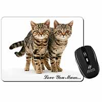 Brown Tabby Cats 