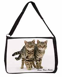 Brown Tabby Cats 