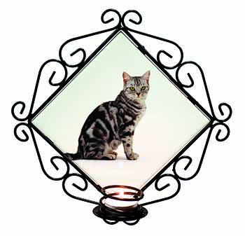 Pretty Tabby Cat Wrought Iron Wall Art Candle Holder