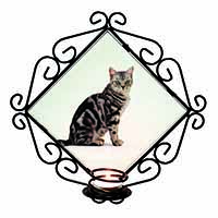 Pretty Tabby Cat Wrought Iron Wall Art Candle Holder