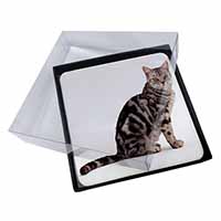 4x Pretty Tabby Cat Picture Table Coasters Set in Gift Box