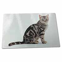 Large Glass Cutting Chopping Board Pretty Tabby Cat