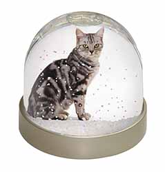 Pretty Tabby Cat Snow Globe Photo Waterball