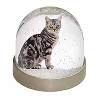 Pretty Tabby Cat Snow Globe Photo Waterball