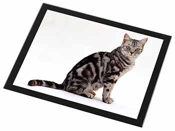 Pretty Tabby Cat Black Rim High Quality Glass Placemat
