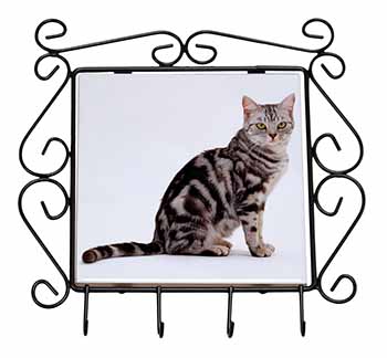 Pretty Tabby Cat Wrought Iron Key Holder Hooks