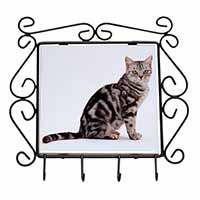 Pretty Tabby Cat Wrought Iron Key Holder Hooks