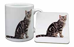 Pretty Tabby Cat Mug and Coaster Set