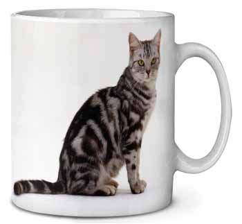 Pretty Tabby Cat Ceramic 10oz Coffee Mug/Tea Cup