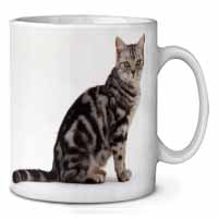 Pretty Tabby Cat Ceramic 10oz Coffee Mug/Tea Cup