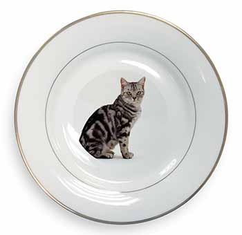 Pretty Tabby Cat Gold Rim Plate Printed Full Colour in Gift Box