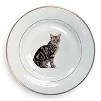 Pretty Tabby Cat Gold Rim Plate Printed Full Colour in Gift Box