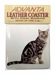 Pretty Tabby Cat Single Leather Photo Coaster
