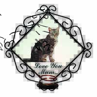 Silver Tabby Cat 