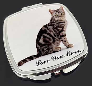 Silver Tabby Cat 