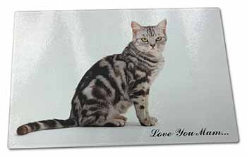 Large Glass Cutting Chopping Board Silver Tabby Cat 