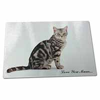 Large Glass Cutting Chopping Board Silver Tabby Cat 